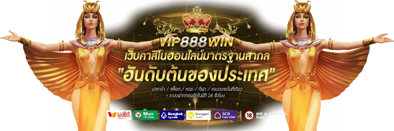 vip888win ปก